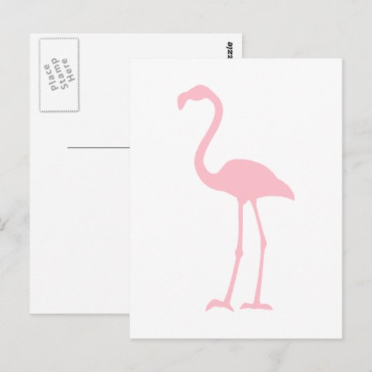 Pink Flamingo Postkarte (Vorne/Hinten)