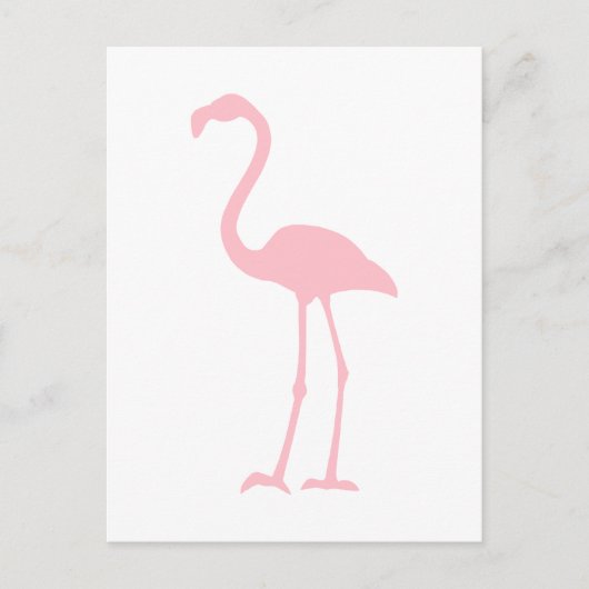 Pink Flamingo Postkarte (Vorderseite)
