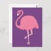 Pink Flamingo Postkarte (Vorne/Hinten)