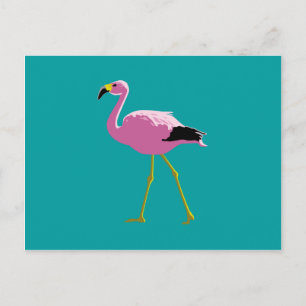 Pink Flamingo Postkarte