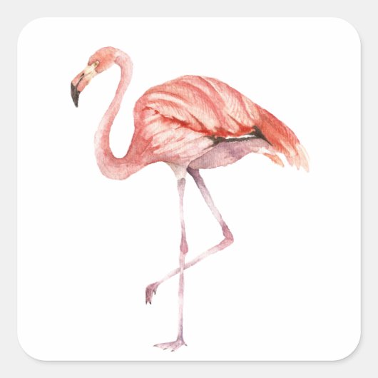 Pink Flamingo Quadratischer Aufkleber (Vorderseite)