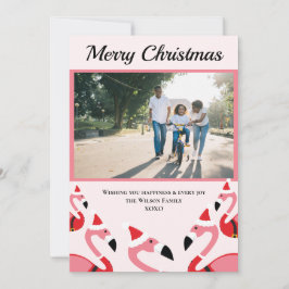 Pink Flamingo Santa Foto Weihnachten