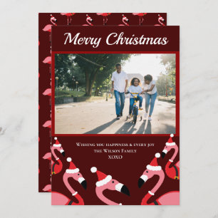 Pink Flamingo Santa Foto Weihnachten