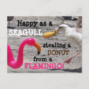 Pink Flamingo Seagull Donut Beach Spaß Postkarte