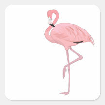 Pink Flamingo Stehend One Leg