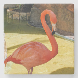 Pink Flamingo Steinuntersetzer
