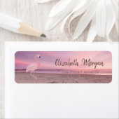 Pink Flamingo Tropical Beach Sunset (Insitu)