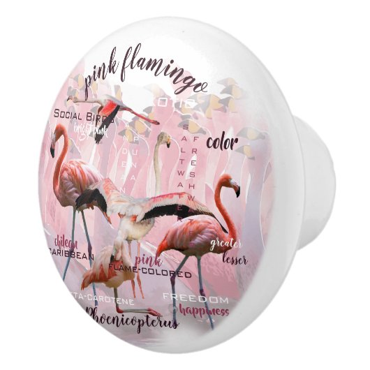 Pink Flamingo Typografie | Angepasst Keramikknauf (Rechts)