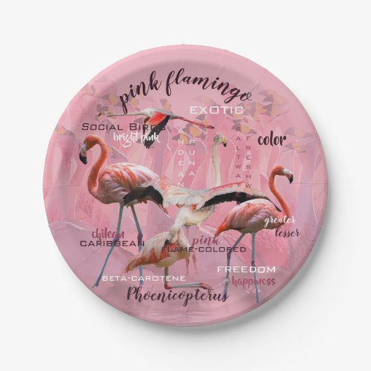 Pink Flamingo Typografie | Angepasst Pappteller (Vorderseite)