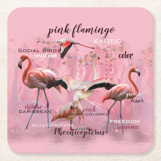 Pink Flamingo Typografie | Angepasst Rechteckiger Pappuntersetzer (Vorderseite)