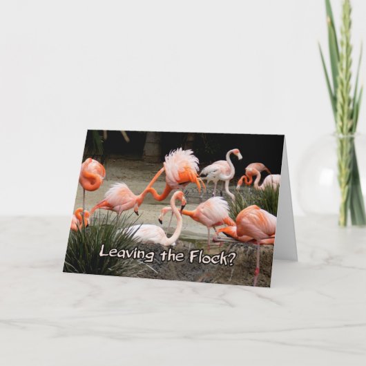 Pink Flamingo Verlasst die Flock Farewell Card Karte (Vorderseite)