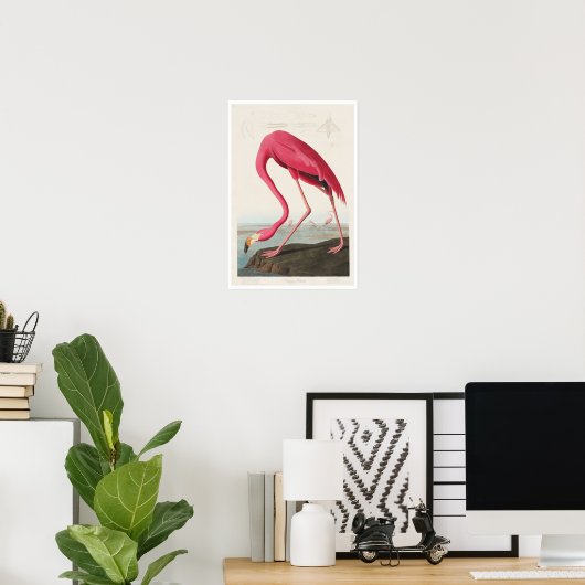 Pink Flamingo von Audubon Poster (Heimbüro)