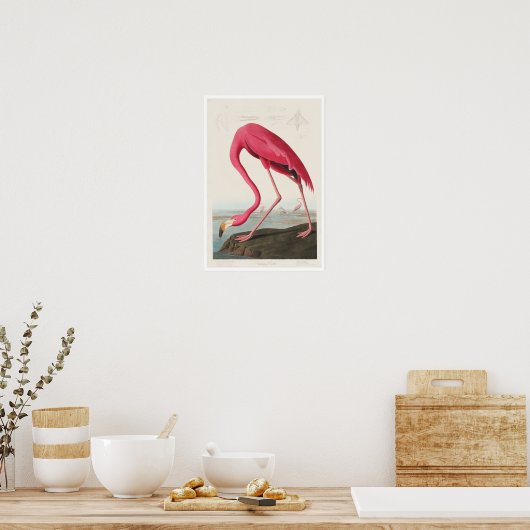Pink Flamingo von Audubon Poster (Küche)