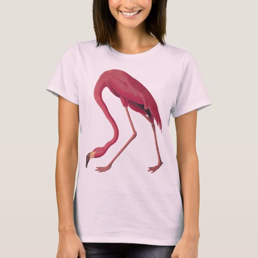 Pink Flamingo Women's T - Shirt (Vorderseite)