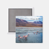 Pink Flamingoes in Bolivien Magnet (Vorderseite/Rückseite)