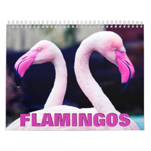 Pink Flamingos 2022 Wall Calendar Kalender
