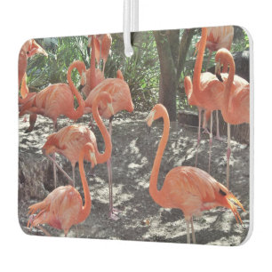 Pink Flamingos Air Freshener Autolufterfrischer