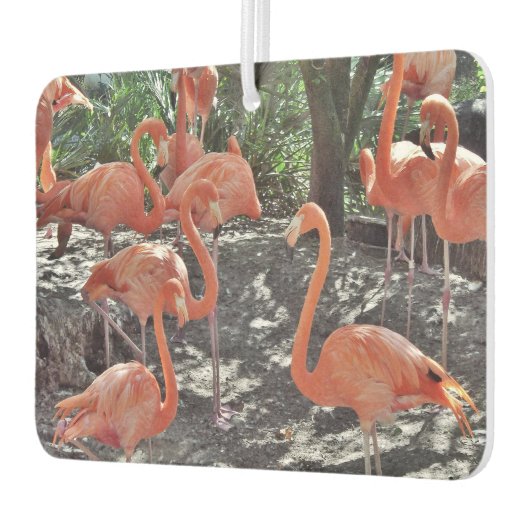 Pink Flamingos Air Freshener Autolufterfrischer (Links)