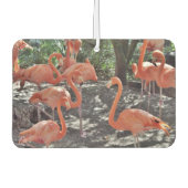 Pink Flamingos Air Freshener Autolufterfrischer (Vorderseite)