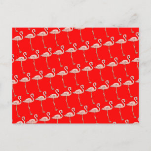 Pink Flamingos auf Parade Postkarte