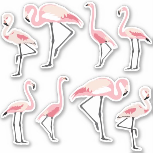 Pink Flamingos Aufkleber (Vorderseite)