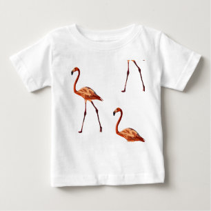 Pink Flamingos Baby Fine Jersey T - Shirt
