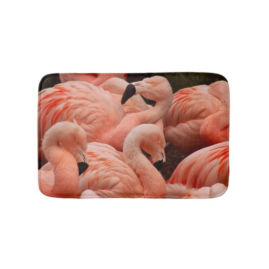 Pink Flamingos Badematte (Vorderseite)