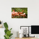 Pink Flamingos Bird Poster (Heimbüro)