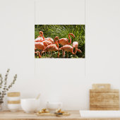 Pink Flamingos Bird Poster (Küche)