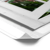 Pink Flamingos Fake Window View Poster (Ecke)