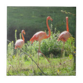 Pink Flamingos Fliese (Vorderseite)