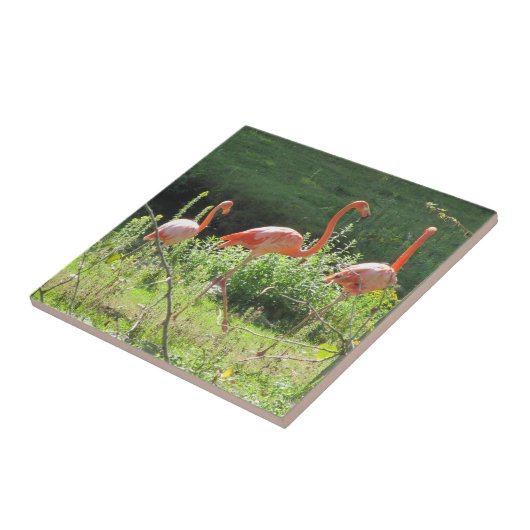 Pink Flamingos Fliese (Seite)