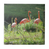 Pink Flamingos Fliese (Vorderseite)