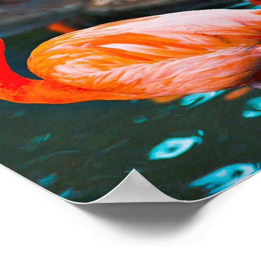 Pink Flamingos Foto Dare to be Different Script Poster (Ecke)