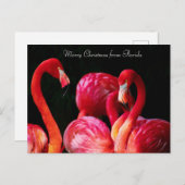 Pink Flamingo's frohe Weihnachten aus Florida (Vorne/Hinten)