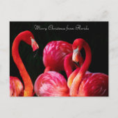Pink Flamingo's frohe Weihnachten aus Florida (Vorderseite)