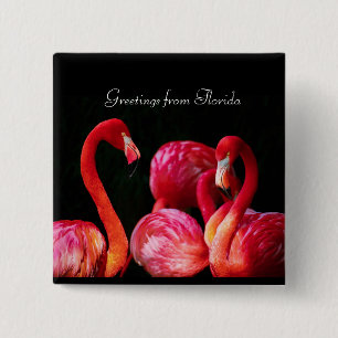 Pink Flamingo's Grüße aus Florida Button