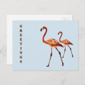 Pink Flamingos Grüße Postkarte (Vorne/Hinten)