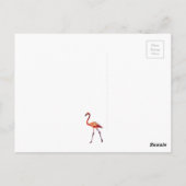 Pink Flamingos Grüße Postkarte (Rückseite)