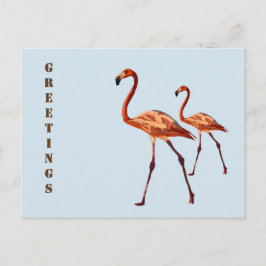 Pink Flamingos Grüße Postkarte