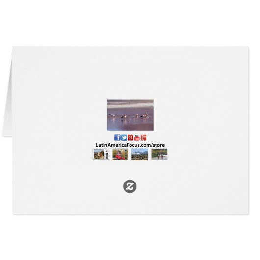 Pink Flamingos in Flight on Water Greycard (Rückseite Horizontal)