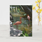 Pink Flamingos Karte (Gelbe Blume)