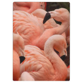 Pink Flamingos Klemmbrett (Rückseite)
