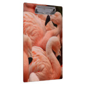 Pink Flamingos Klemmbrett (Rechts)