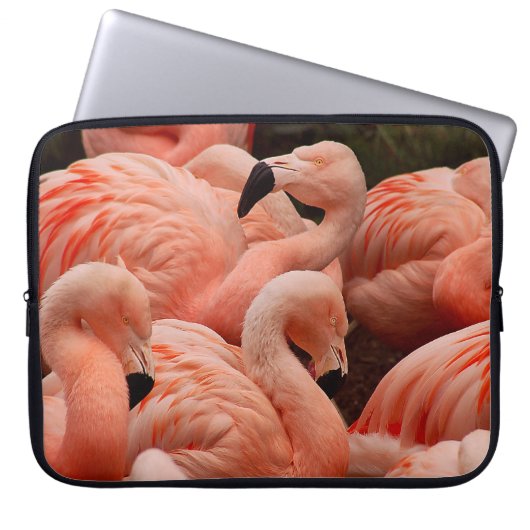 Pink Flamingos Laptopschutzhülle (Vorderseite)