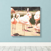 Pink Flamingos Leinwanddruck (Insitu (Holzboden))