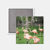 Pink Flamingos Magnet (Vorderseite/Rückseite)