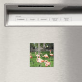 Pink Flamingos Magnet (In Situ (Geschirrspüler))