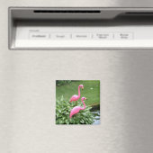 PINK FLAMINGOS-Magnet (Quadrat) Magnet (In Situ (Geschirrspüler))
