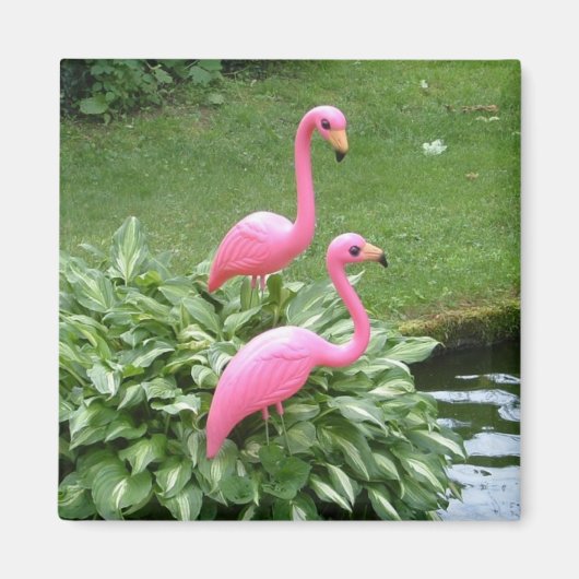 PINK FLAMINGOS-Magnet (Quadrat) Magnet (Vorne)